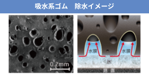 ゴムに無数の空洞があり、その空洞で水を吸収している